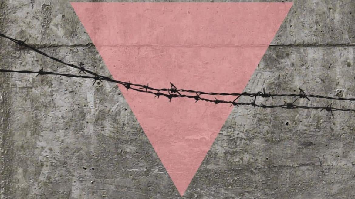 ddl disforia di genere schedatura nazisti trans omocausto triangolo rosa transgender