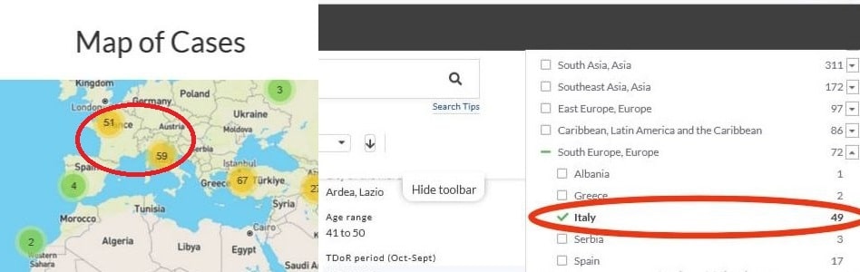 tdor transgender trans violenza omicidio transfobia zan statistiche transicidio europa italia