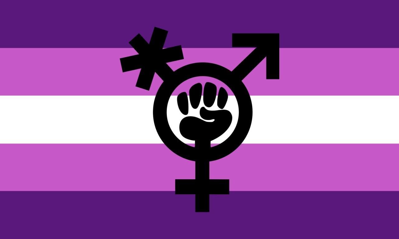 trans transgender gender woke transfemminismo femminismo femminicidi transicidi lgbt lgbtq arcobaleno propaganda ideologia simbolo transfemminista