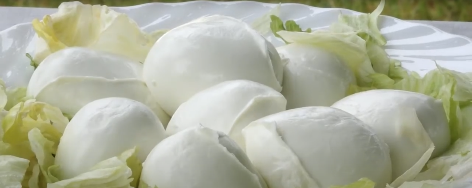 Educazione sessuale a scuola: le bufale di Bufale un tanto al chilo (1)