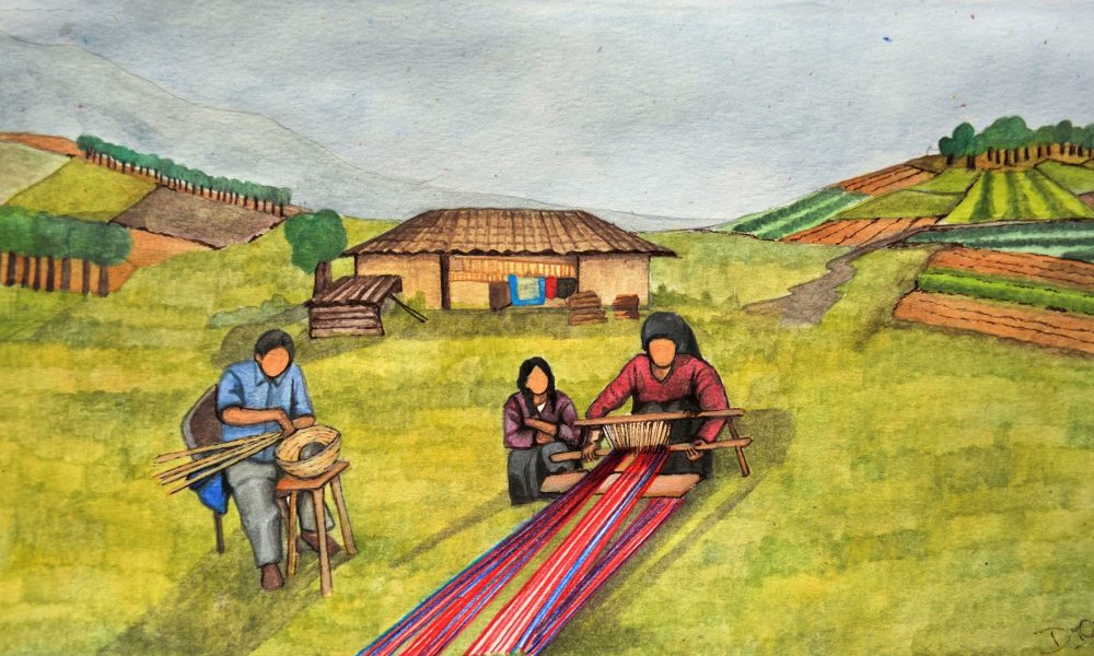 Natura o cultura