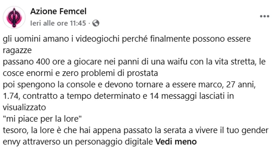 facebook, post femcel, odio